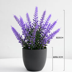 Ghiveci Lavanda, 20x6.5cm Plastic si Silicon Engros