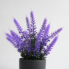 Ghiveci Lavanda, 20x6.5cm Plastic si Silicon